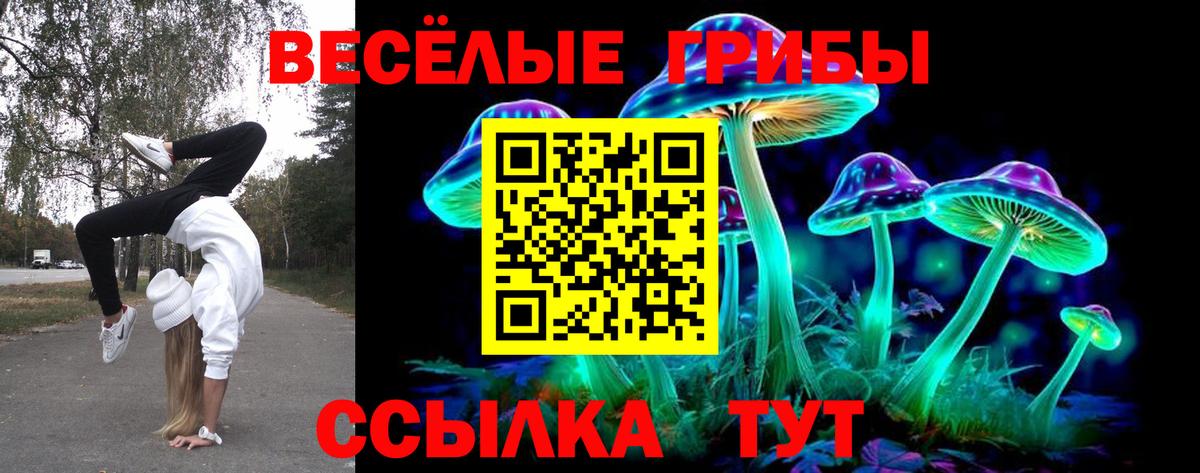 Галлюциногенные грибы мицелий Рубцовск