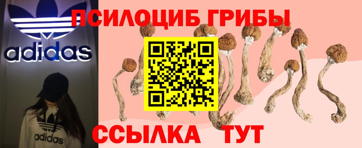 Псилоцибиновые грибы Psilocybine cubensis  Галлюциногенные грибы мицелий  Рубцовск  Вход с VPN 